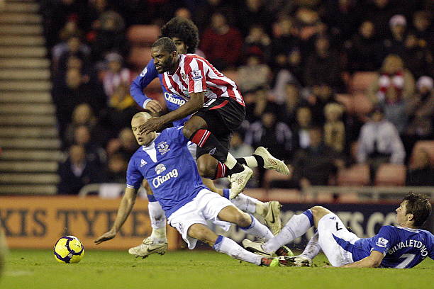 与水户蜀葵 与水户蜀葵